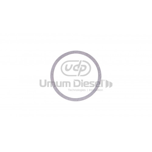 CR Bosch Enjektör Bobin Ayar Pulu