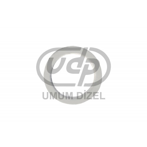 423 Alüminyum Pul (Kalın)