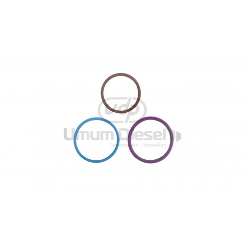 Volvo Oring Tamir Takımı F00VX99995