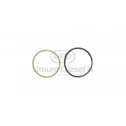 Birim Dizel Pompa Tamir Takım (Sadece Gövde Oringi ) F 000 41P 051 - F 00H N37 069