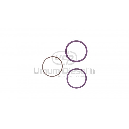 Delphi EUI Volvo O-Ring Tamir Takımı F12 OEM NO: 7135-488