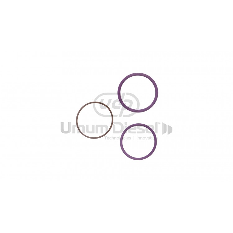 Delphi EUI Volvo O-Ring Tamir Takımı F12 OEM NO: 7135-488