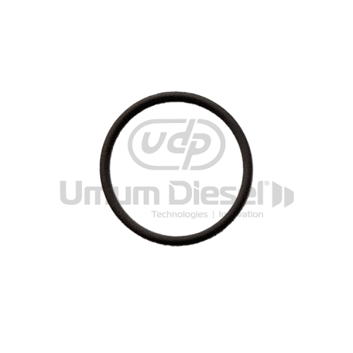 Ford Cargo 1838 Enjektör Bobin Lastiği