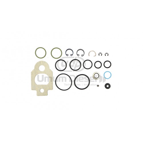 7135-277B Delphi Takım Conta Seti