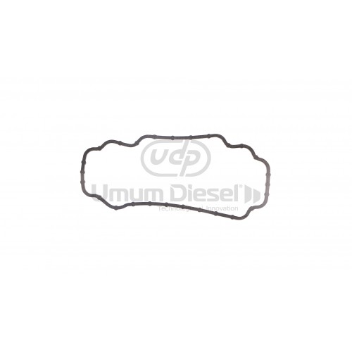 Massey Gold Üst Kapak Lastiği