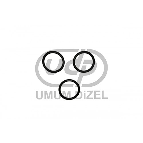 Massey Şaft Lastiği