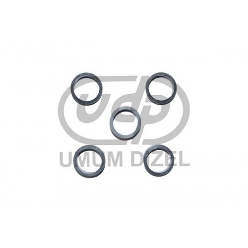 Isuzu Npr 59 Enjektör Lastiği