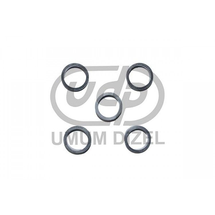 Isuzu Npr 59 Enjektör Lastiği