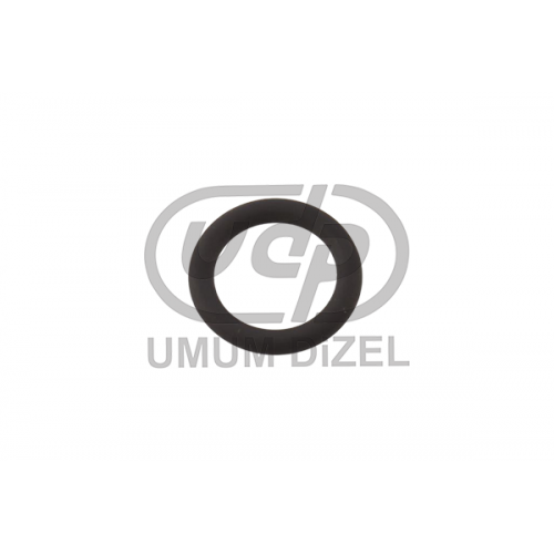 Bosch Tazyik Sibobu o-ringi büyük 1 460 225 082