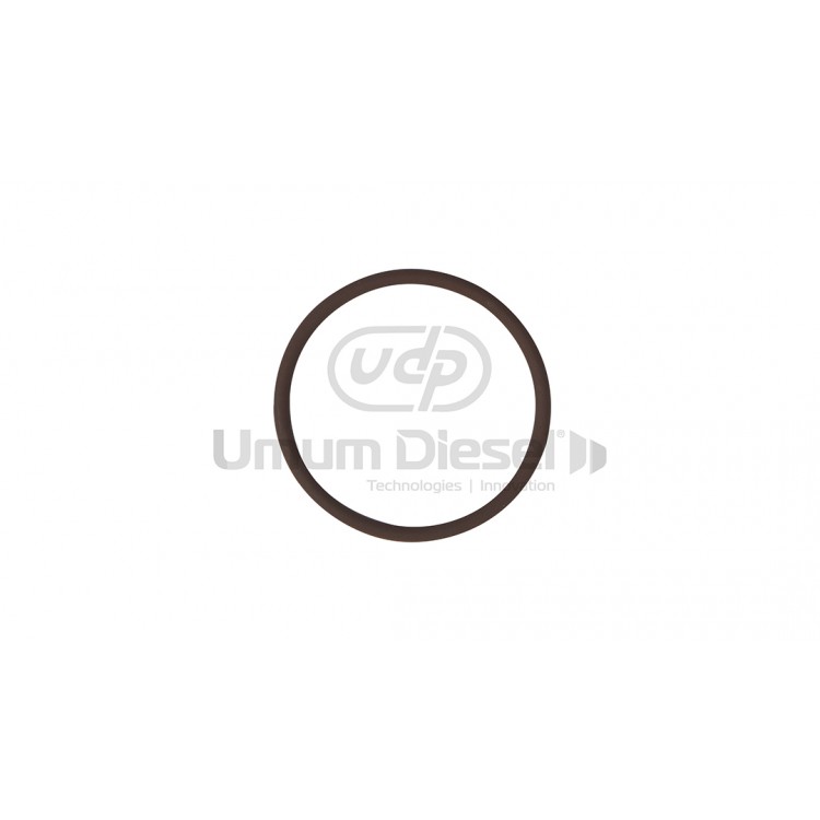 Mercedes Actros / Axor Tapa Oring (Viton)