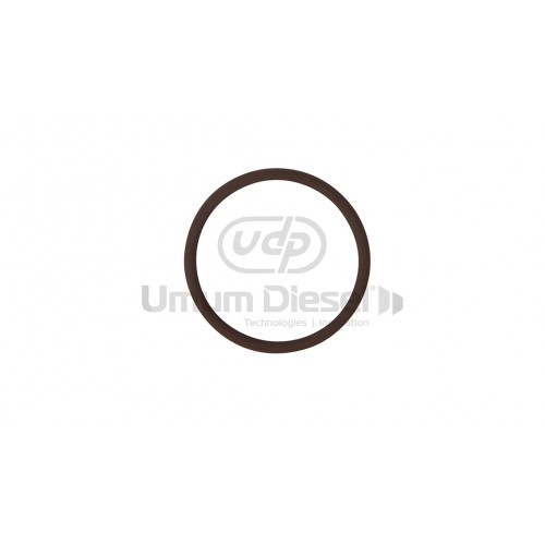 9108-152B Delphi Avans Müşür Lastiği